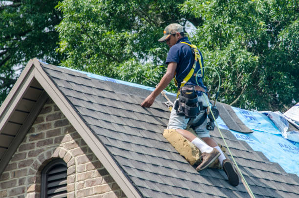 Best Roof Waterproofing Services  in Eclectic, AL